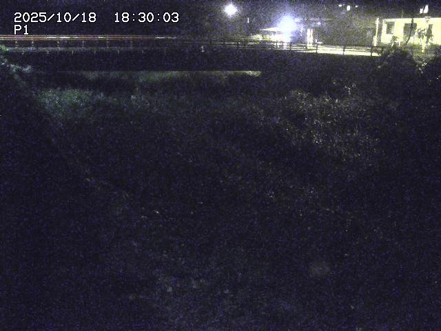 細見川１2025/10/18 20:30:00