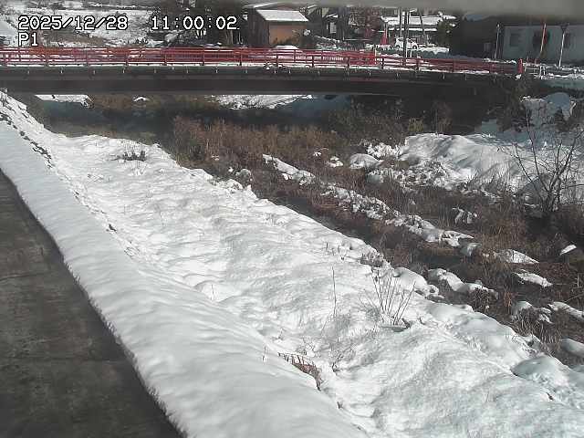 細見川１2025/12/29 9:50:00