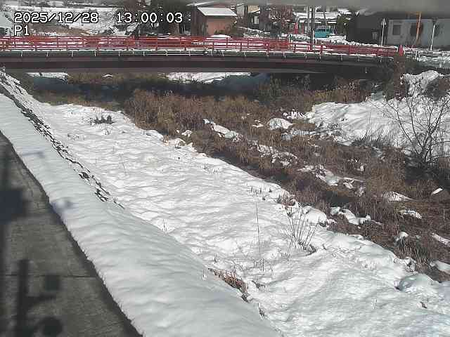 細見川１2025/12/29 9:50:00