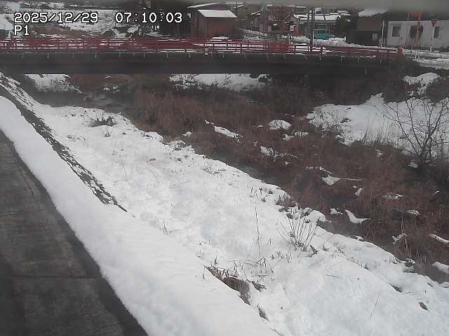 細見川１2025/12/29 9:50:00