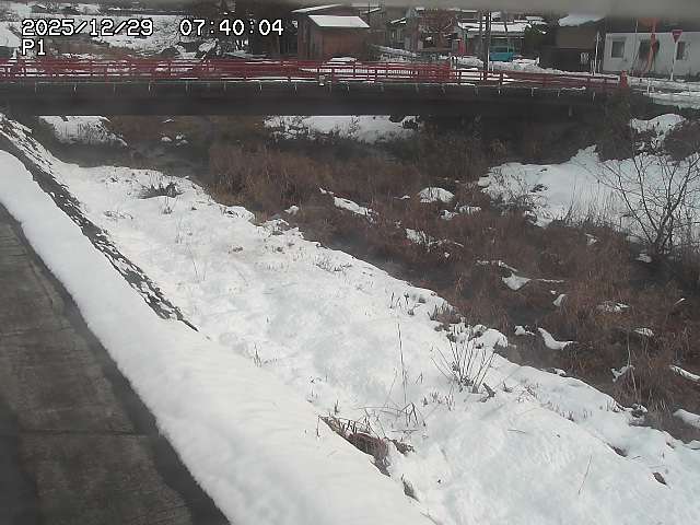 細見川１2025/12/29 9:50:00