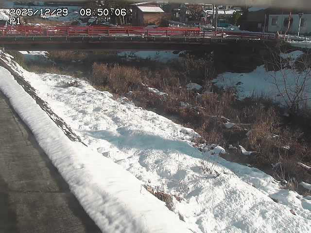 細見川１2025/12/29 9:50:00