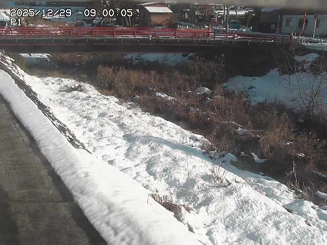 細見川１2025/12/29 9:50:00