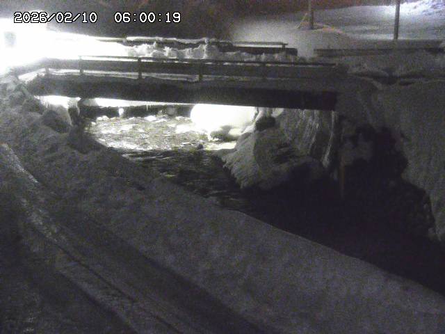 三倉川１2026/02/11 4:00:00