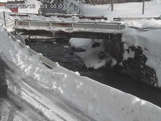 三倉川１2026/02/11 4:00:00