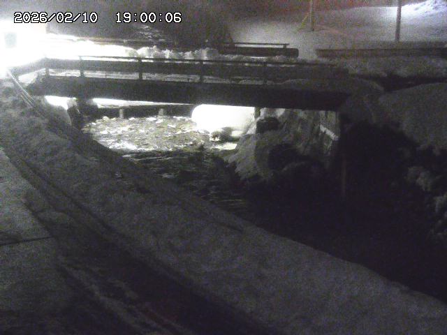 三倉川１2026/02/11 4:00:00