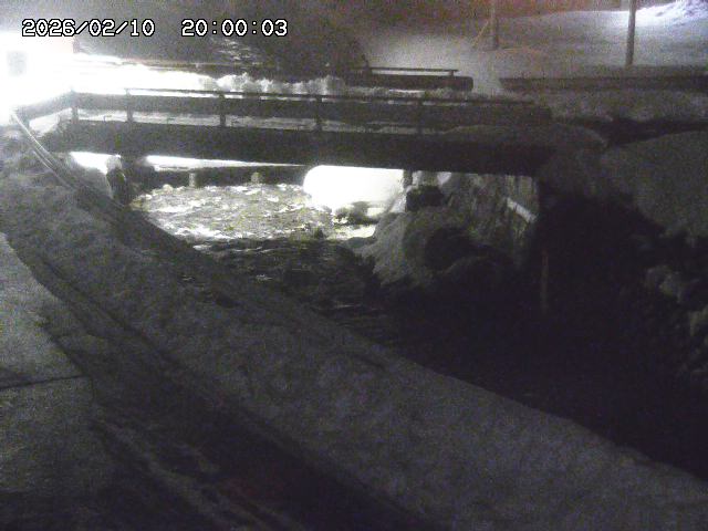 三倉川１2026/02/11 4:00:00