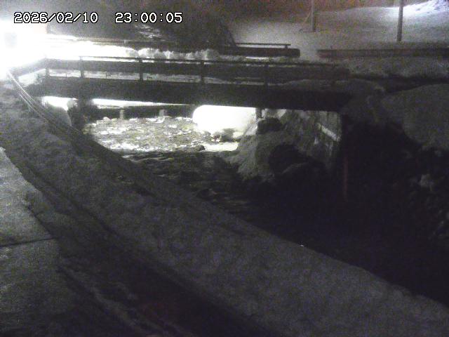 三倉川１2026/02/11 4:00:00