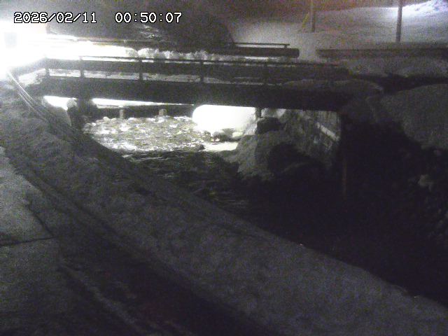 三倉川１2026/02/11 4:00:00