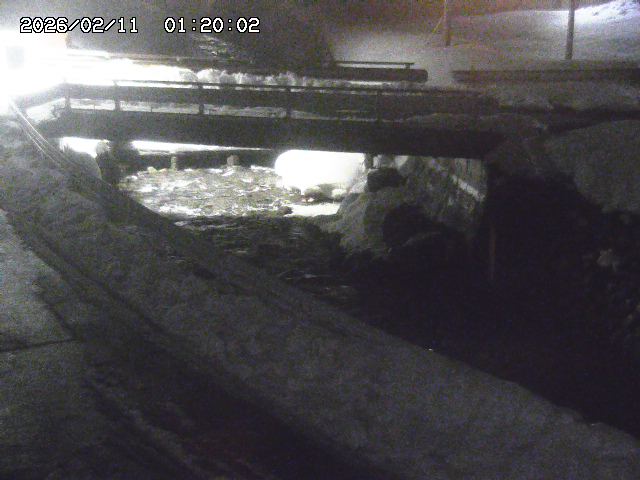 三倉川１2026/02/11 4:00:00