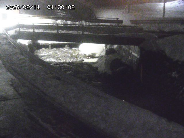 三倉川１2026/02/11 4:00:00