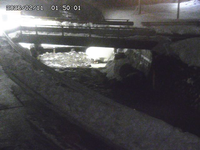 三倉川１2026/02/11 4:00:00