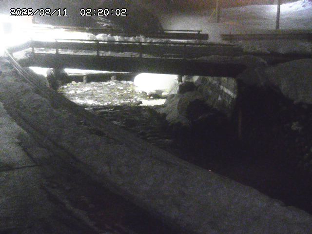 三倉川１2026/02/11 4:00:00