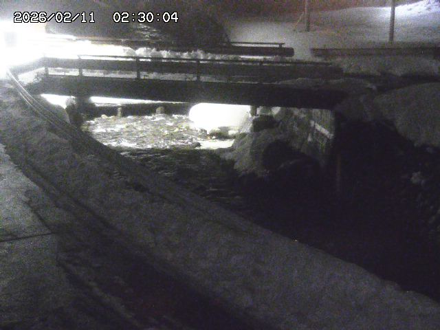 三倉川１2026/02/11 4:00:00