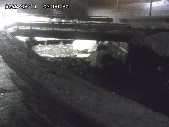 三倉川１2026/02/11 4:00:00