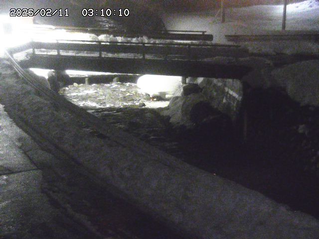 三倉川１2026/02/11 4:00:00