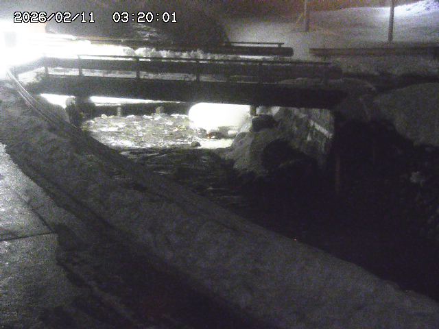 三倉川１2026/02/11 4:00:00