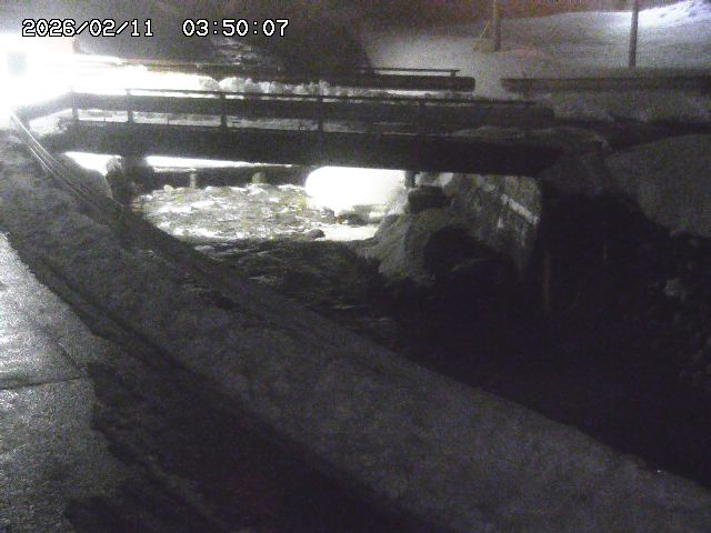 三倉川１2026/02/11 4:00:00