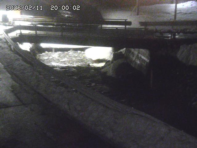 三倉川１2026/02/12 18:50:00