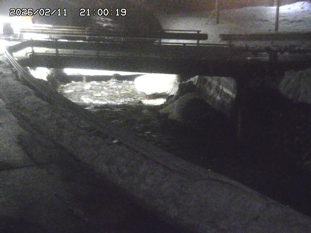 三倉川１2026/02/12 18:50:00