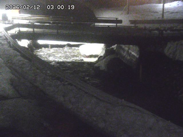 三倉川１2026/02/12 18:50:00