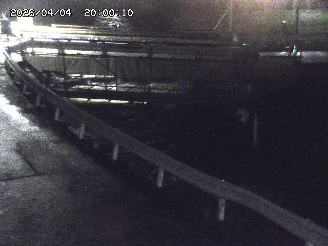 三倉川１2026/04/05 3:30:00