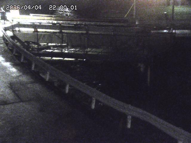 三倉川１2026/04/05 3:30:00