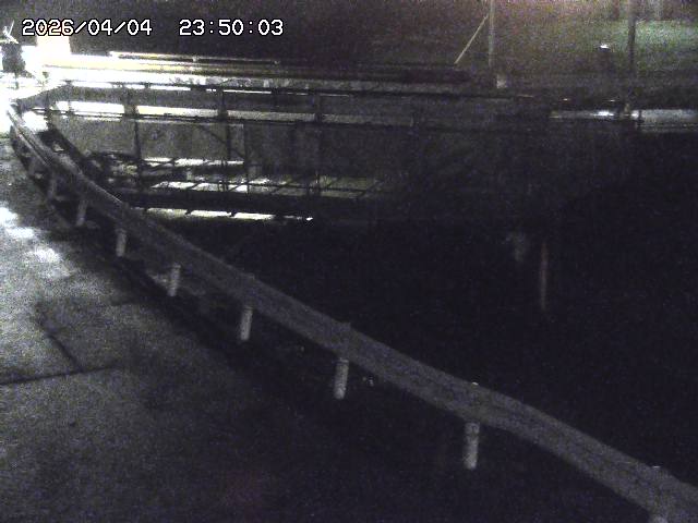 三倉川１2026/04/05 3:30:00