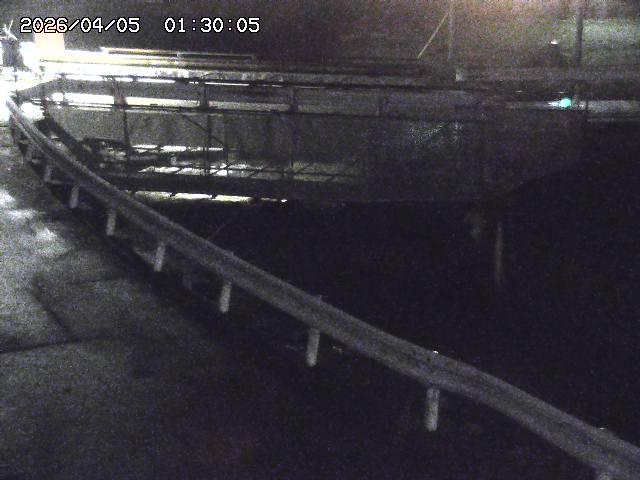 三倉川１2026/04/05 3:30:00