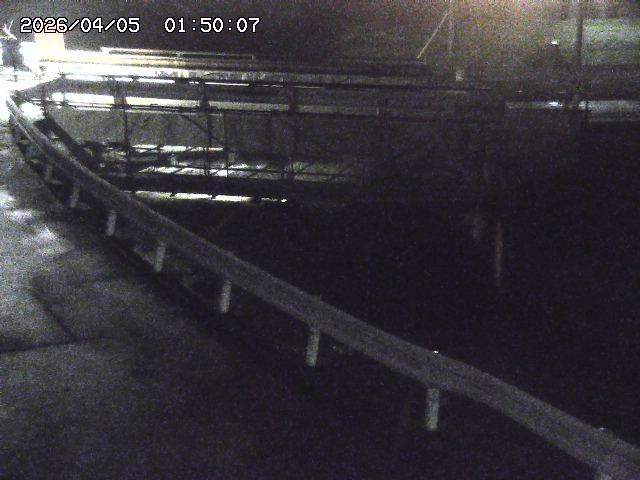 三倉川１2026/04/05 3:30:00