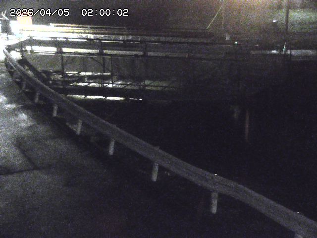 三倉川１2026/04/05 3:30:00