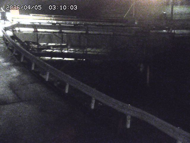 三倉川１2026/04/05 3:30:00