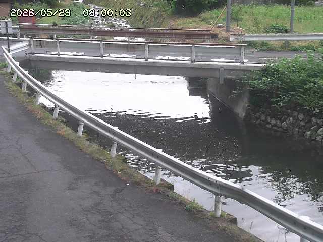 三倉川１2026/05/30 3:30:00