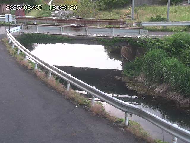 三倉川１2025/06/06 1:00:00