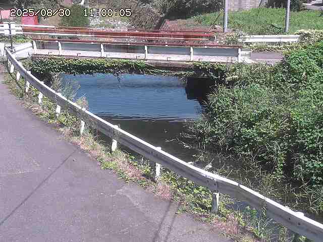 三倉川１2025/08/31 1:00:00