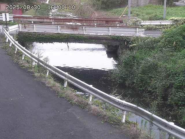 三倉川１2025/08/31 1:00:00