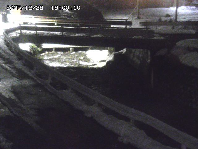 三倉川１2025/12/29 9:50:00