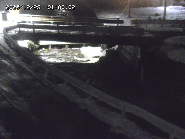 三倉川１2025/12/29 9:50:00