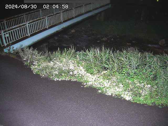 千代川５2025/08/31 1:00:00