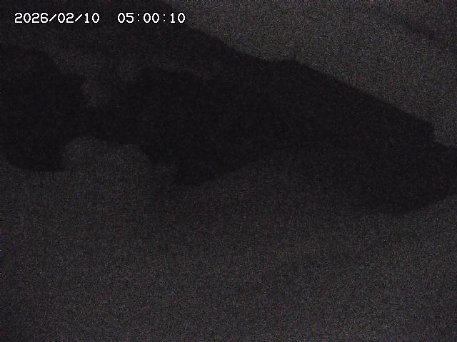 八河谷川１2026/02/11 3:30:00