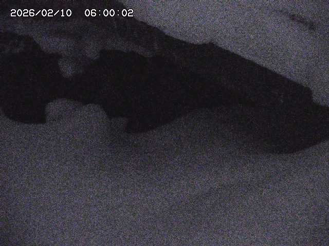 八河谷川１2026/02/11 3:30:00