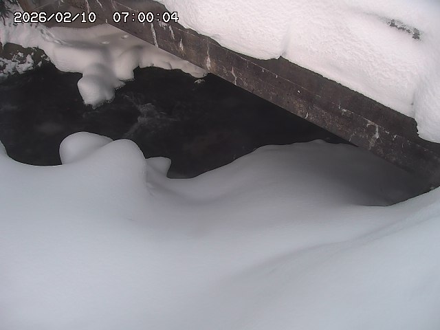 八河谷川１2026/02/11 3:30:00