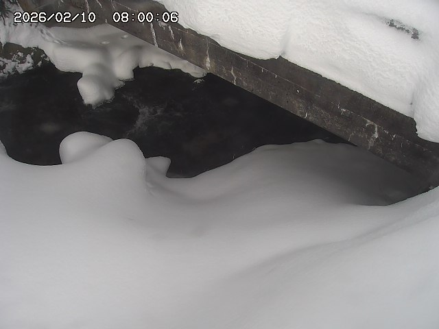 八河谷川１2026/02/11 3:30:00