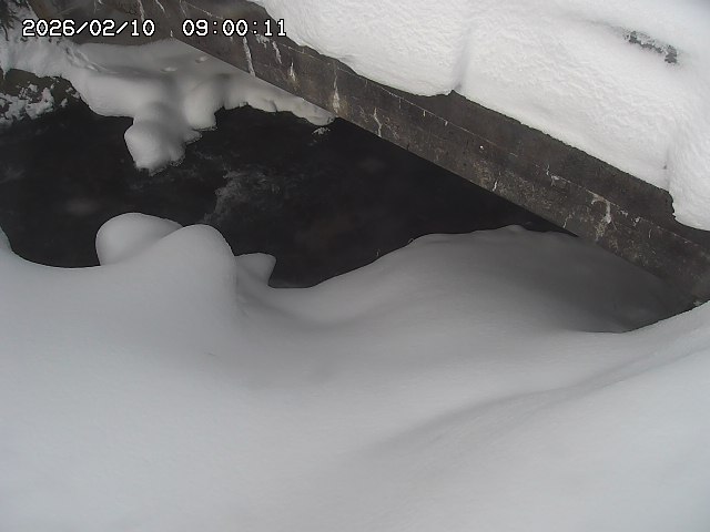 八河谷川１2026/02/11 3:30:00