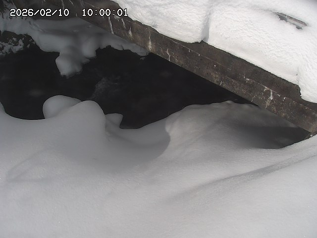 八河谷川１2026/02/11 3:30:00