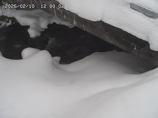 八河谷川１2026/02/11 3:30:00