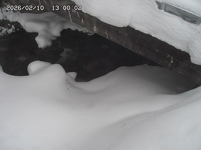 八河谷川１2026/02/11 3:30:00