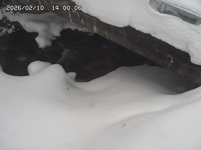 八河谷川１2026/02/11 3:30:00