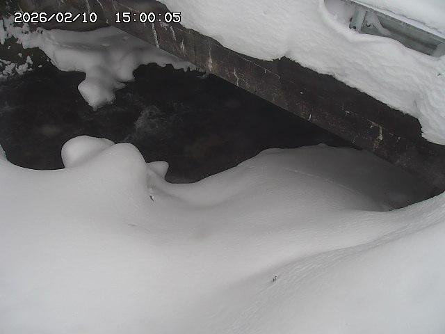 八河谷川１2026/02/11 3:30:00