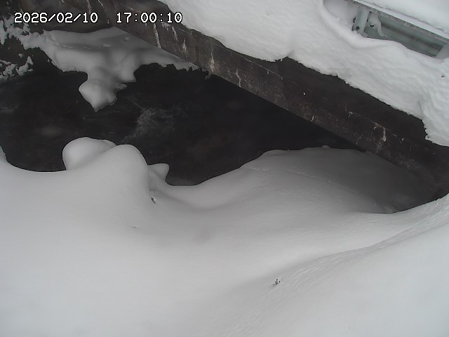 八河谷川１2026/02/11 3:30:00